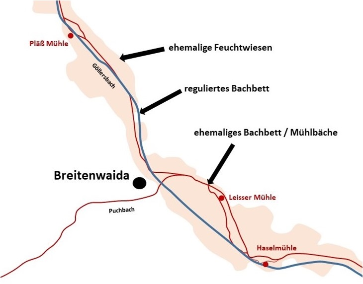 Themenweg Göllersbach_Abbildung Feuchtwiesen bei Breitenwaida